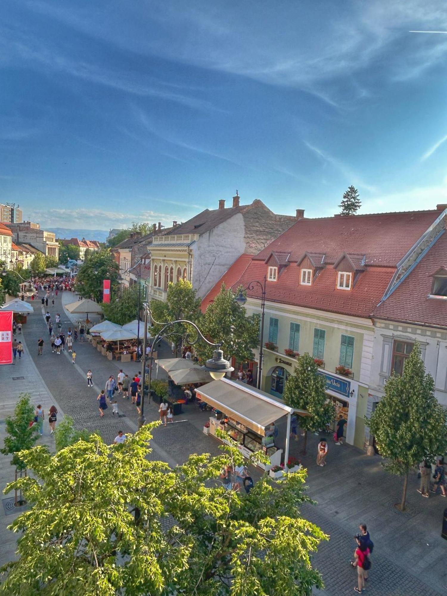 Casa Bieltz - Wonderful Old Town View סיביו